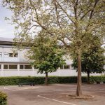 84-Christian-Heinrich-Zeller-Schule-Nadja-Osieka-84